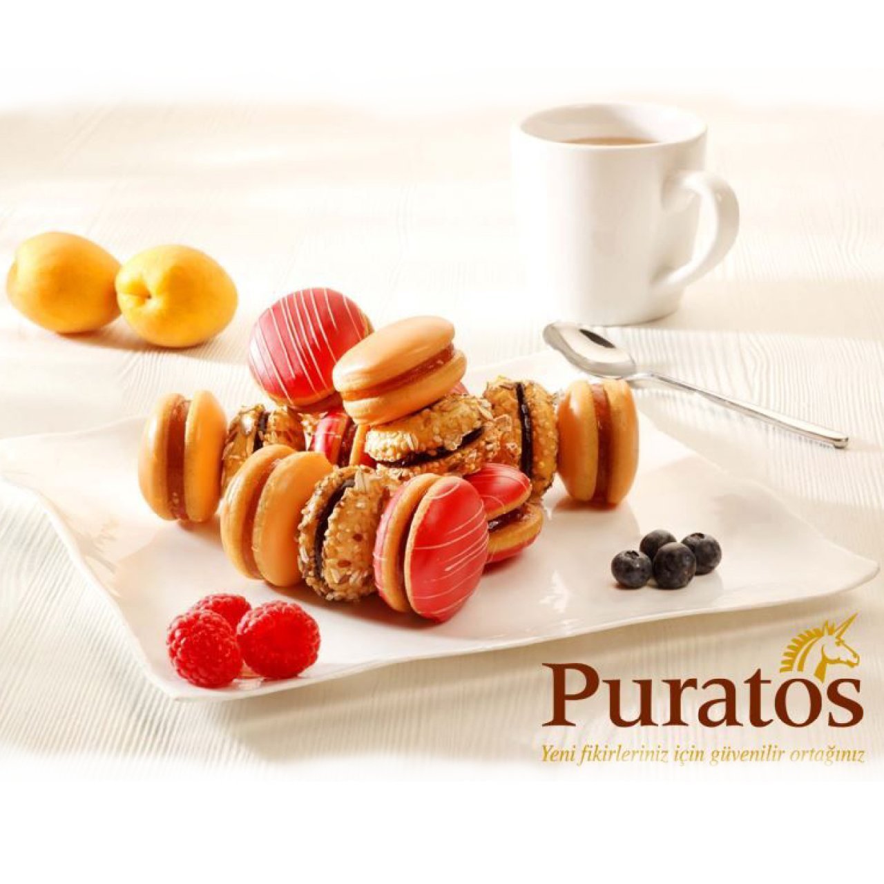 Puratos%20Tegral%20Makaron%205Kg.